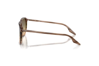 Vista laterale Ray-Ban RB2203 (13920A)