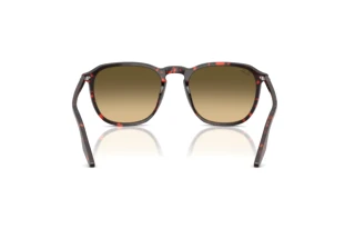 Vista posteriore Ray-Ban RB2203 (14290A)