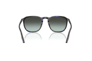 Vista posteriore Ray-Ban RB2203 (1430GK)