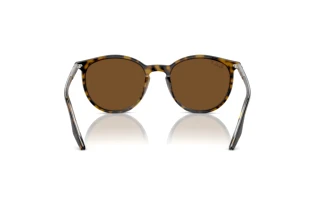 Vista posteriore Ray-Ban RB2204 (139357)