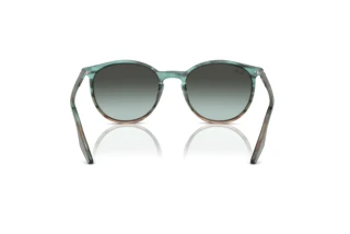 Vista posteriore Ray-Ban RB2204 (1394GK)