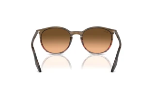 Vista posteriore Ray-Ban RB2204 (13953B)