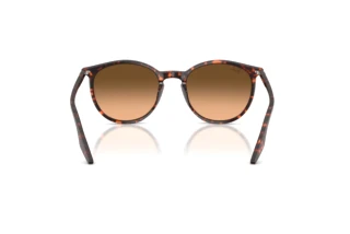 Vista posteriore Ray-Ban RB2204 (14293B)