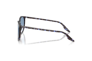 Vista laterale Ray-Ban RB2204 (14303F)
