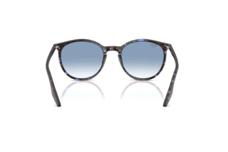 Vista posteriore Ray-Ban RB2204 (14303F)