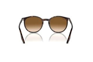 Vista posteriore Ray-Ban RB2204 (902/51)