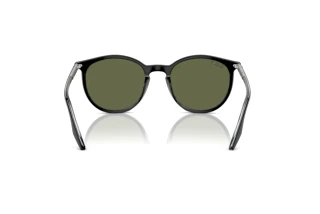 Vista posteriore Ray-Ban RB2204 (919/58)