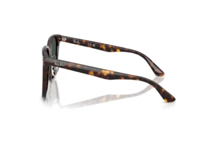 Vista laterale Ray-Ban RB2206D (710/87)