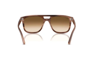 Vista posteriore Ray-Ban RB2213 (142351)