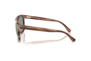 Vista laterale Ray-Ban RB2213CH (1423O9)