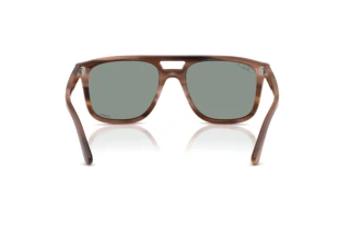 Vista posteriore Ray-Ban RB2213CH (1423O9)