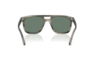 Vista posteriore Ray-Ban RB2213CH (14243R)
