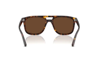 Vista posteriore Ray-Ban RB2213CH (902/AN)