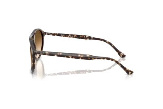 Vista laterale Ray-Ban RB2215 (143151)