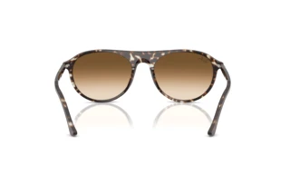 Vista posteriore Ray-Ban RB2215 (143151)