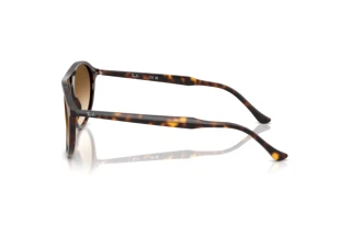 Vista laterale Ray-Ban RB2215 (902/51)