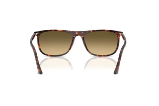 Vista posteriore Ray-Ban RB2216 (14290A)