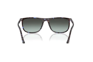 Vista posteriore Ray-Ban RB2216 (1430GK)