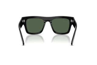 Vista posteriore Ray-Ban RB2217M (F60171)