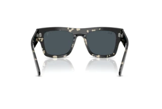 Vista posteriore Ray-Ban RB2217M (F70387)