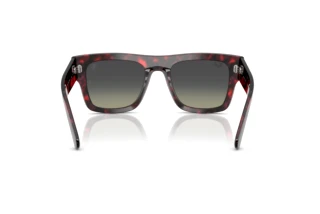 Vista posteriore Ray-Ban RB2217M (F70511)