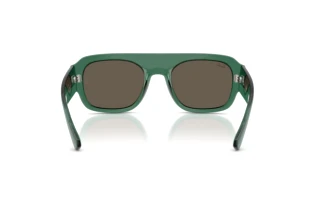 Vista posteriore Ray-Ban RB2218 (6681/3)