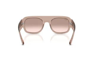 Vista posteriore Ray-Ban RB2218 (67278Z)
