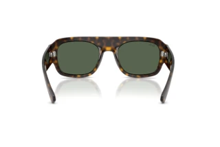 Vista posteriore Ray-Ban RB2218 (679071)