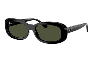 Ray-Ban RB 2221 901/31