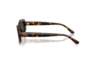Vista laterale Ray-Ban RB2221 (902/31)