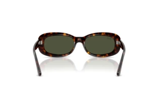 Vista posteriore Ray-Ban RB2221 (902/31)