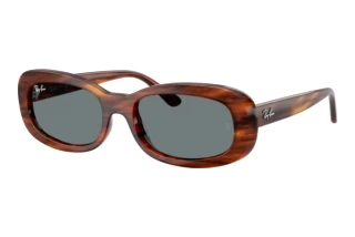 Vista frontale Ray-Ban RB2221 (954/62)