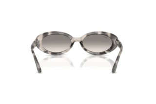 Vista posteriore Ray-Ban RB2223 (144832)