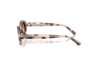 Vista laterale Ray-Ban RB2223 (144951)