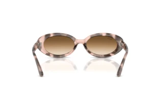 Vista posteriore Ray-Ban RB2223 (144951)