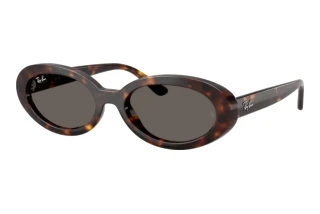 Vista frontale Ray-Ban RB2223 (902/B1)