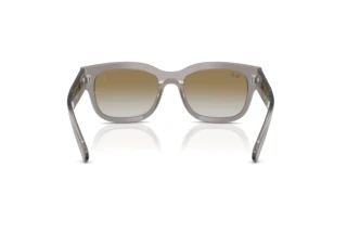 Vista posteriore Ray-Ban RB2228M (F7046E)