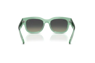 Vista posteriore Ray-Ban RB2228M (F70911)