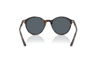 Vista posteriore Ray-Ban RB2230 (1356R5)