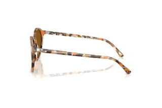 Vista laterale Ray-Ban RB2230 (135733)