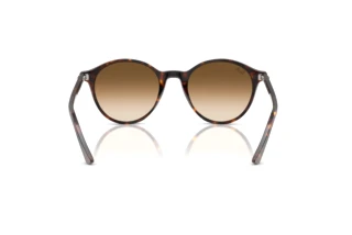 Vista posteriore Ray-Ban BERNARD (RB2230 - 902/51)