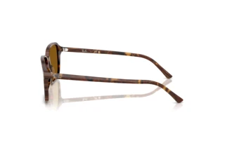 Vista laterale Ray-Ban RAIMOND (RB2231 - 141833)