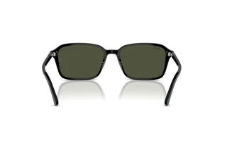 Vista posteriore Ray-Ban RAIMOND (RB2231 - 901/31)