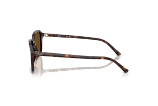 Vista laterale Ray-Ban RAIMOND (RB2231 - 902/57)
