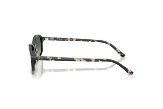 Vista laterale Ray-Ban RB2232 (133371)