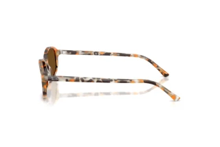 Vista laterale Ray-Ban RB2232 (135757)