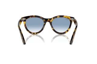Vista posteriore Ray-Ban WAYFARER WAY (RB2241 - 13323F)