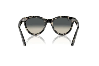 Vista posteriore Ray-Ban WAYFARER WAY (RB2241 - 133371)