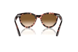 Vista posteriore Ray-Ban WAYFARER WAY (RB2241 - 133451)