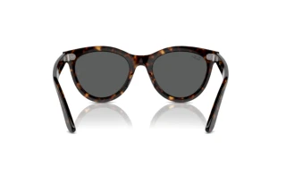 Vista posteriore Ray-Ban WAYFARER WAY (RB2241 - 902/B1)